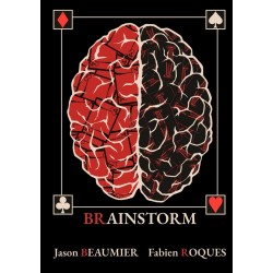 Livre Brainstorm de Fabien...