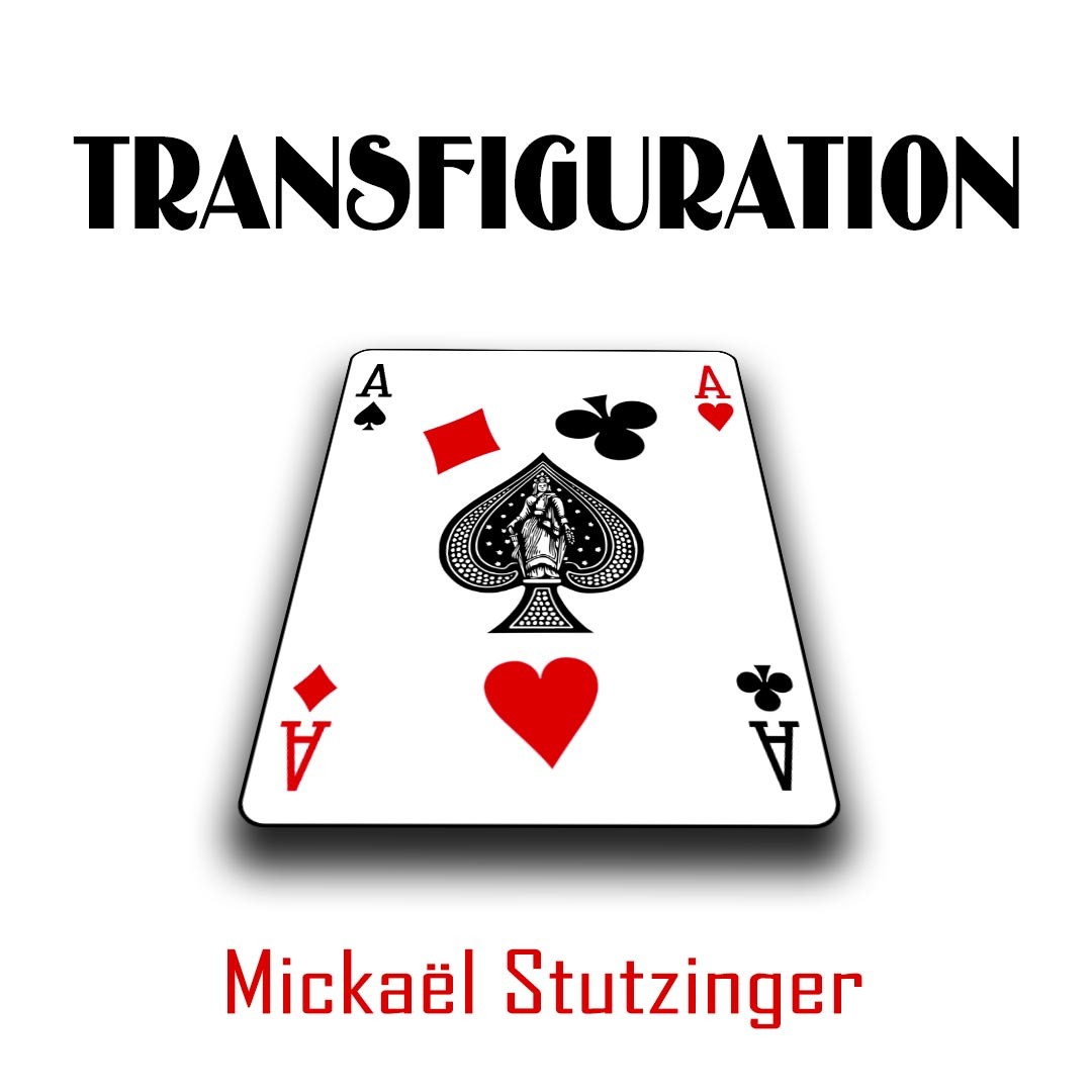 TRANSFIGURATION de Mickaël Stutzinger